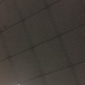 Meet your Posher, Abreanna